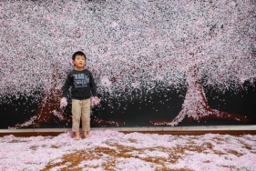 桜の木の下で記念撮影。あ～楽しかった。